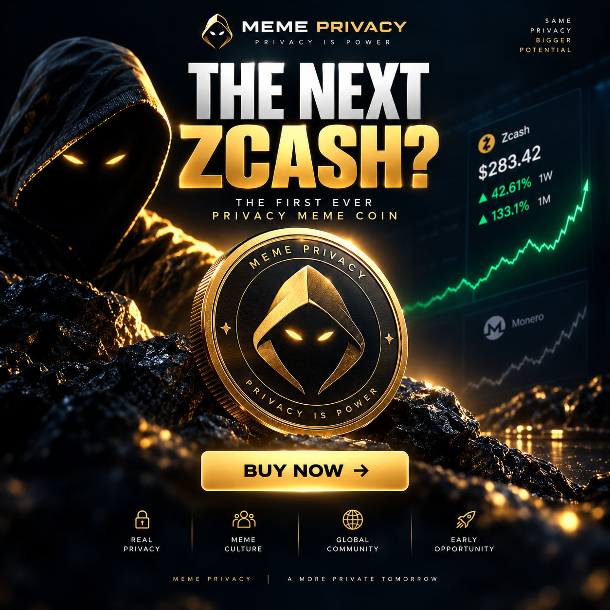 Meme Privacy gold coin with hooded emblem